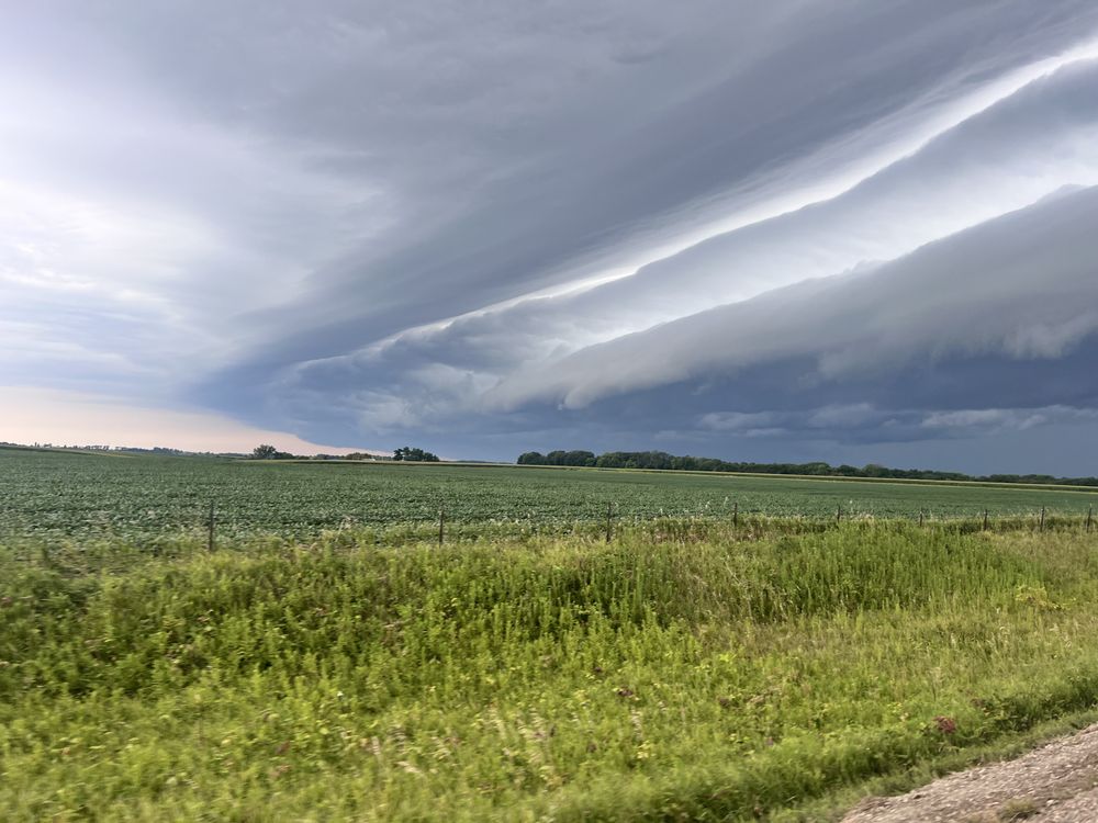 Brooke’s Training and Learning Program - equestrian in Muscatine, IA