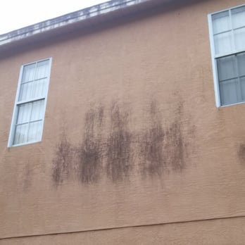 RHQ Property Maintenance - House with mold and and algae stains in Oldsmar. Sof washed, Before - Gutter Services Near Me - Palm Harbor, Florida RHQ Property Maintenance - House with mold and and algae stains in Oldsmar. Sof washed, Before - Gutter Services Near Me - Palm Harbor, Florida