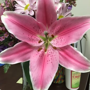 Rennie's Flower Shoppe - Look at the size of those lilies! - Florists Near Me - North Andover, Massachusetts Rennie's Flower Shoppe - Look at the size of those lilies! - Florists Near Me - North Andover, Massachusetts