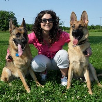 Sit Means Sit - Pet Training Near Me - Alsip, Illinois Sit Means Sit - Pet Training Near Me - Alsip, Illinois