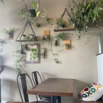 Alfonso's Pizzeria - Lots of greenery... Made me so happy - Pizza Near Me - Tampa, Florida Alfonso's Pizzeria - Lots of greenery... Made me so happy - Pizza Near Me - Tampa, Florida