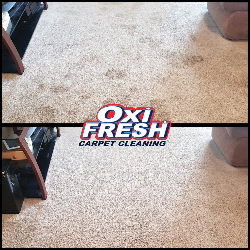 OXI FRESH CARPET CLEANING Request a Quote Canandaigua, NY Yelp
