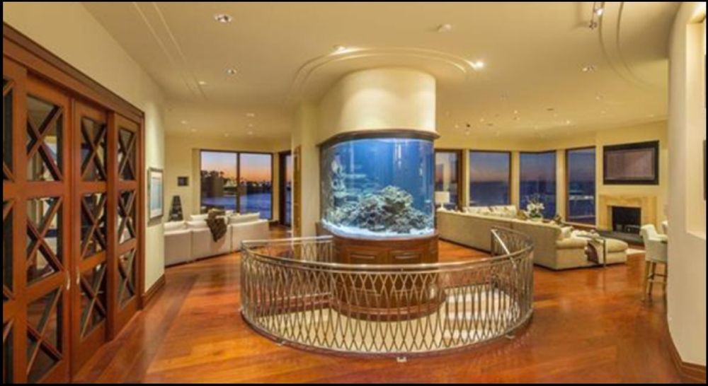 SAN DIEGO AQUARIUMS Updated September 2024 34 Photos San Diego