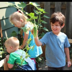 Little Seeds Farm School