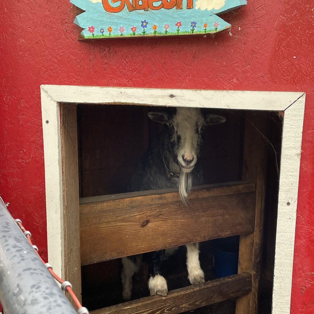 Dunkler's Farm Market - Come see Gideon! - Fruits & Veggies Near Me - Akron, Ohio