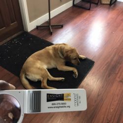 Ensight Skills Center - Magnifiers and a friend to greet you.
