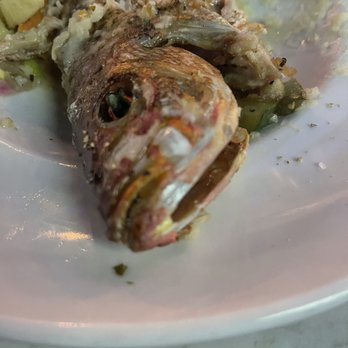 The Tavern - Roasted yellow tail snapper - Breakfast & Brunch Near Me - Miami Beach, Florida