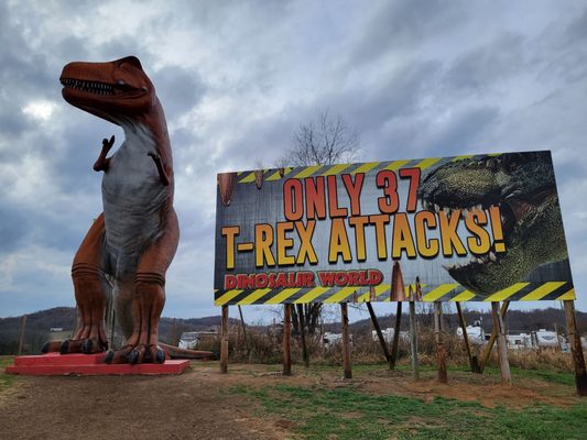 Dinosaur World by null