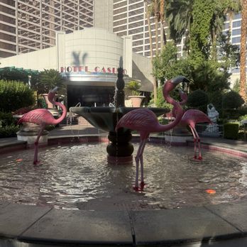 Flamingo Las Vegas - Fountain - Hotels Near Me - Las Vegas, Nevada Flamingo Las Vegas - Fountain - Hotels Near Me - Las Vegas, Nevada