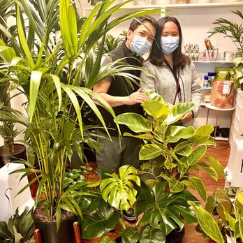 Plant Terra - They have a really pretty plants to choose from. We enjoyed shopping! Millie is so helpful and friendly. - Nurseries & Gardening Near Me - Hayward, California Plant Terra - They have a really pretty plants to choose from. We enjoyed shopping! Millie is so helpful and friendly. - Nurseries & Gardening Near Me - Hayward, California