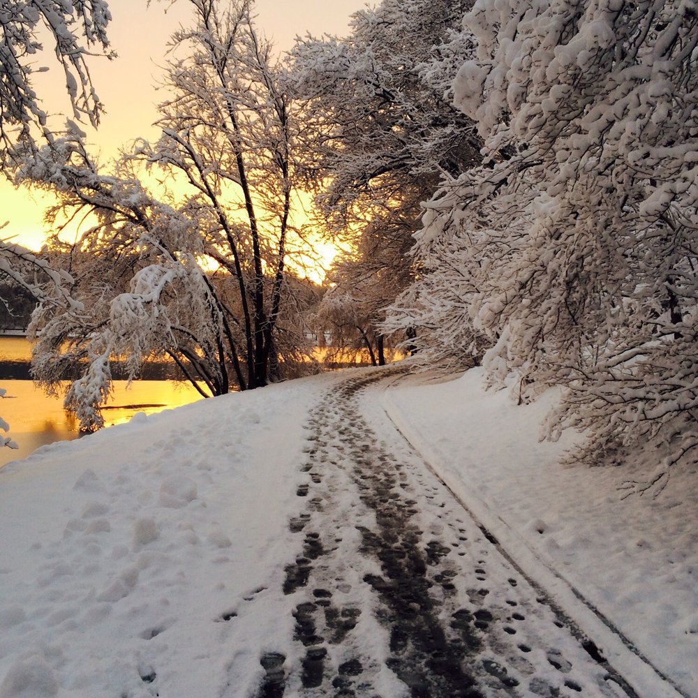 Jamaica Pond - Running after a fresh snowfall - Parks Near Me - Jamaica Plain, Massachusetts Jamaica Pond - Running after a fresh snowfall - Parks Near Me - Jamaica Plain, Massachusetts