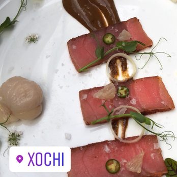 Xochi - Atun - Mexican Near Me - Houston, Texas