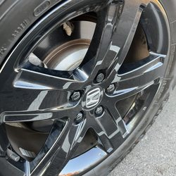 Jersey Shine & Lube - Rim