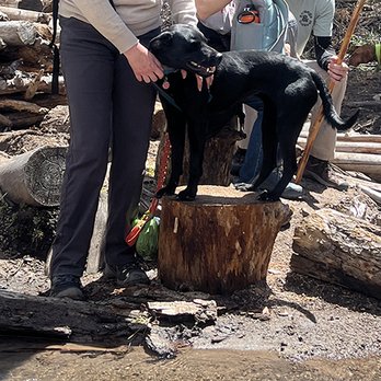 RSQ - Animal Shelters Near Me - St. George, Utah RSQ - Animal Shelters Near Me - St. George, Utah