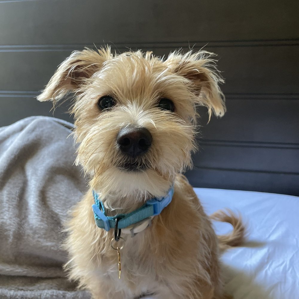 Petco - Pet Stores Near Me - Santa Rosa, California
