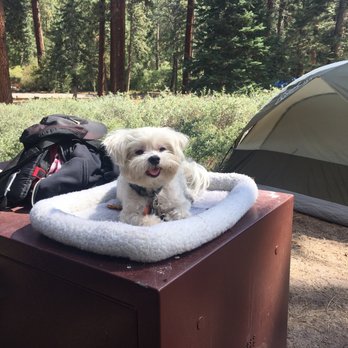 Hanna Flat Campground - Campgrounds Near Me - Fawnskin, California Hanna Flat Campground - Campgrounds Near Me - Fawnskin, California