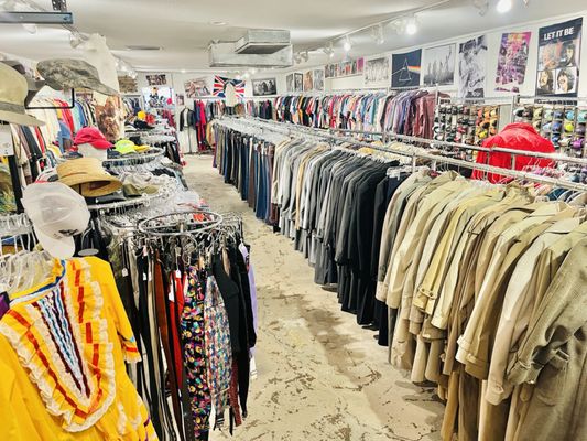 The Red Kat Vintage by null