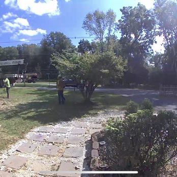 Cypress Tree Service - Tree Services Near Me - Byram Township, New Jersey Cypress Tree Service - Tree Services Near Me - Byram Township, New Jersey