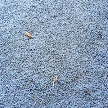 Jot's Resort - Dirty carpet - Resorts Near Me - Gold Beach, Oregon