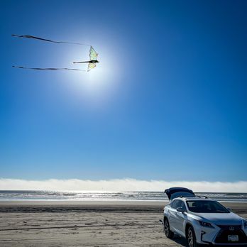 Long Beach - Kite - Beaches Near Me - Long Beach, Washington Long Beach - Kite - Beaches Near Me - Long Beach, Washington