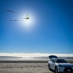 Long Beach - Kite