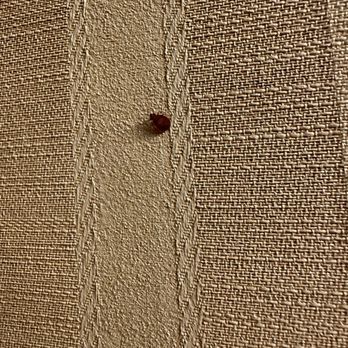 Hilton Chicago/Northbrook - Bed bugs - Hotels Near Me - Northbrook, Illinois