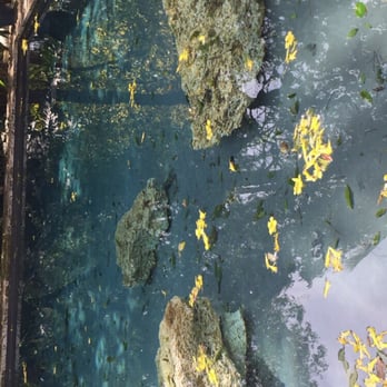 The Kampong - Botanical Gardens Near Me - Coconut Grove, Florida