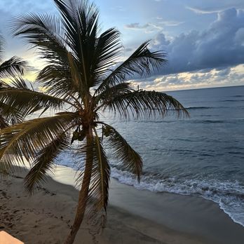 Palo Restaurant - Beach - Breakfast & Brunch Near Me - Isabela, Puerto Rico