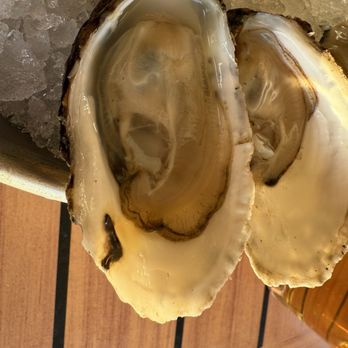 Matunuck Oyster Bar - Can't remember the name but they were my favorite! - Seafood Near Me - South Kingstown, Rhode Island Matunuck Oyster Bar - Can't remember the name but they were my favorite! - Seafood Near Me - South Kingstown, Rhode Island