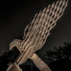 Patriots Park - Eagle