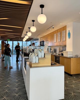 Blue Bottle Coffee by null