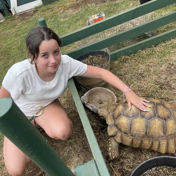 Kula Country Farms - Adorable tortoise - Farmers Market Near Me - Kula, Hawaii Kula Country Farms - Adorable tortoise - Farmers Market Near Me - Kula, Hawaii