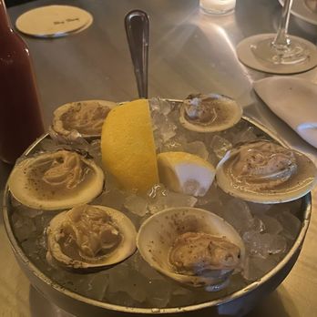 Zig Zag Oyster Bar - Clams - Seafood Near Me - Brooklyn, New York Zig Zag Oyster Bar - Clams - Seafood Near Me - Brooklyn, New York