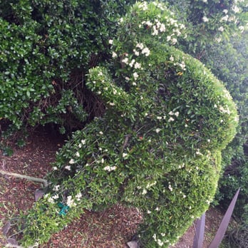 Water Conservation Garden - Elephant - Botanical Gardens Near Me - El Cajon, California