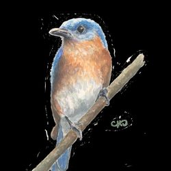 Technigraphics - Successful color printing transfer in .jpg via upload feature.