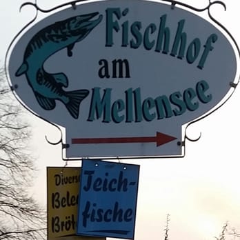 Fischhof Mellensee - Fischbroetchen Near Me - Am Mellensee, BB