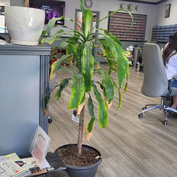 Galaxy Nails - Sitting in the waiting area in salon - Nail Salons Near Me - Stockton, California