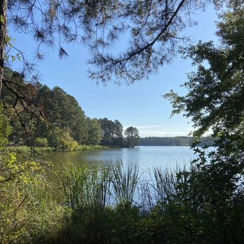 Harris Lake County Park - Parks Near Me - New Hill, North Carolina