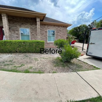Wallace Construction - Before in the front of our house, I'm embarrassed! - Tree Services Near Me Wallace Construction - Before in the front of our house, I'm embarrassed! - Tree Services Near Me