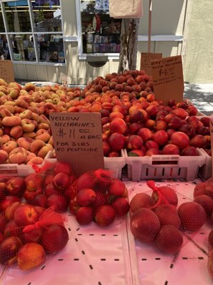 Campbell Farmer's Market by null
