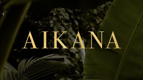 Aikana Chicago by null
