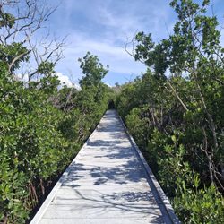 Rotary Park
