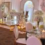 Photo of KGT Designs & Rentals