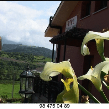 Casa Pipo - Tours Near Me - Colunga, O