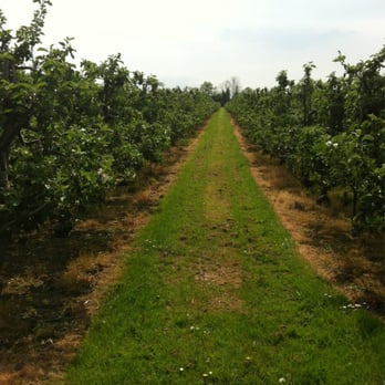 The Apple Farm - Apple farm - Farmers Market Near Me - Cahir, TA