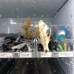 Modern art piece; vending machine filled with Tucson-related-artifacts.