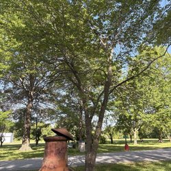 Big Red Barn Rv Park - Trees