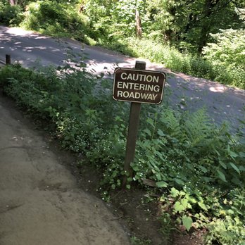 Latourell Falls - End of the trail, watch out for cars! - Hiking Near Me - Portland, Oregon Latourell Falls - End of the trail, watch out for cars! - Hiking Near Me - Portland, Oregon