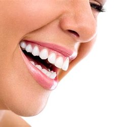 Roland S Taylor, DDS