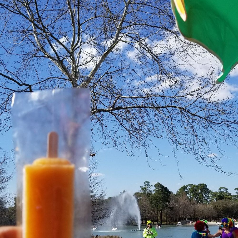 Hermann Park Conservancy - Guava mango - Parks Near Me - Houston, Texas Hermann Park Conservancy - Guava mango - Parks Near Me - Houston, Texas